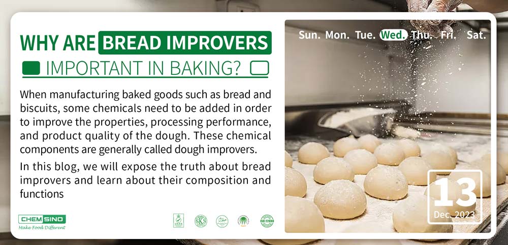 Why Are Bread Improvers Important in Baking?